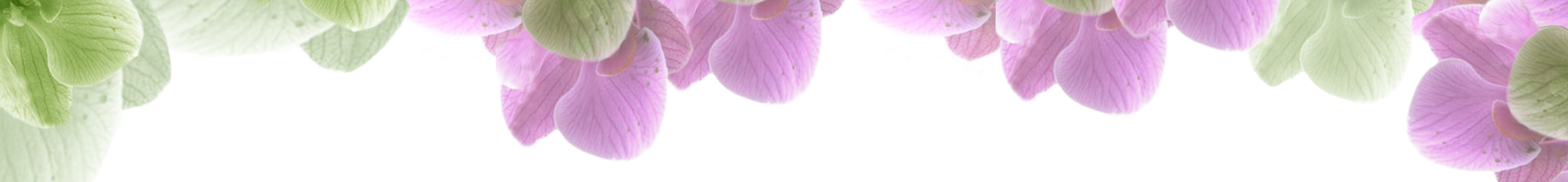 top-border-image
